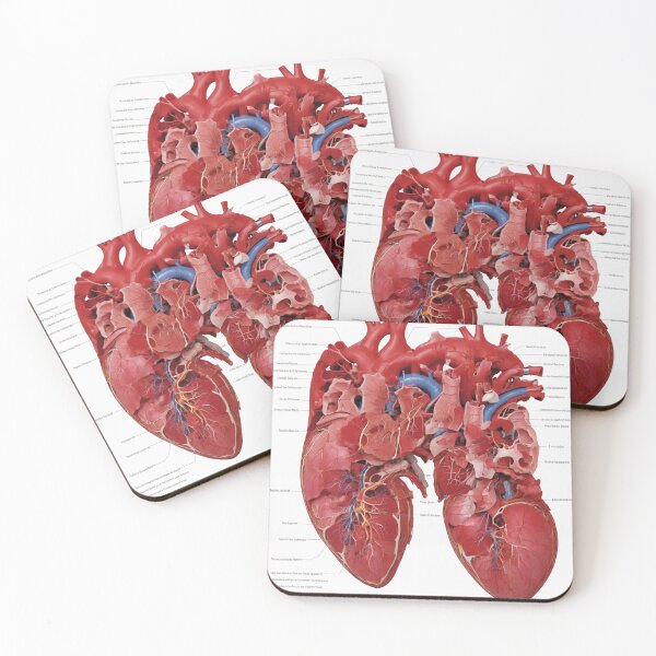 Item preview, Anatomy of the Heart designed and sold by Sadia  Jannat.