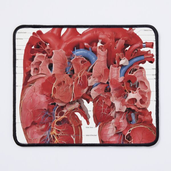 Item preview, Anatomy of the Heart designed and sold by Sadia  Jannat.