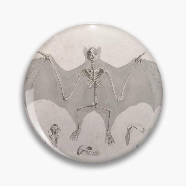 Item preview, Comparative Anatomy – The Esoteric Blueprint of Life designed and sold by Eternal Arcana.