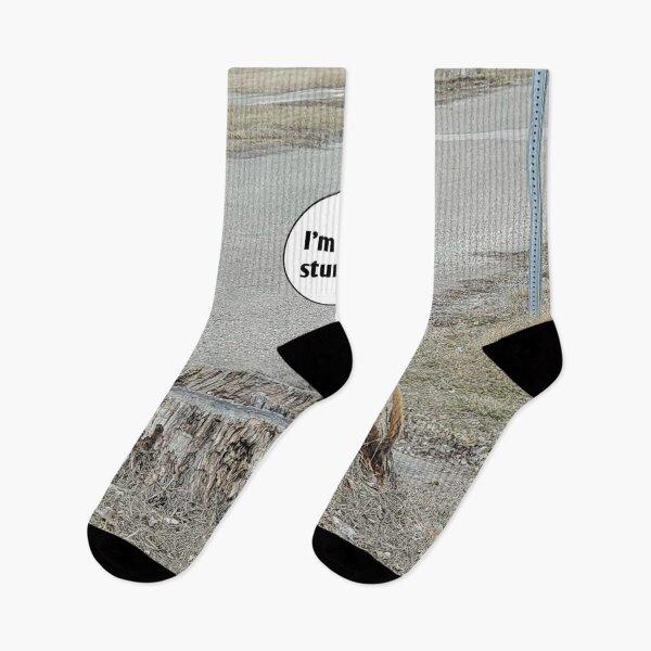 Item preview, Squirrel Jokes designed and sold by J+J Photography.