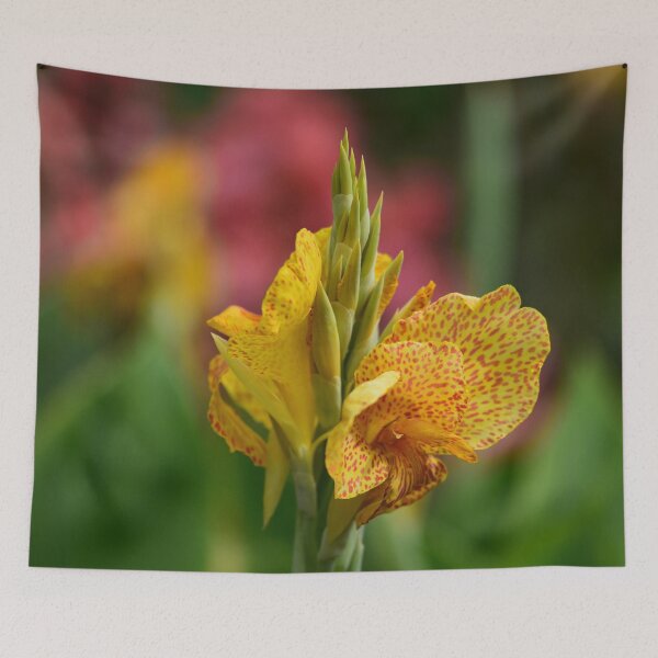 Item preview, Yellow Canna Flower - Vibrant Floral Photography – Nature’s Bloom in Full Color designed and sold by EmiBarDesign.