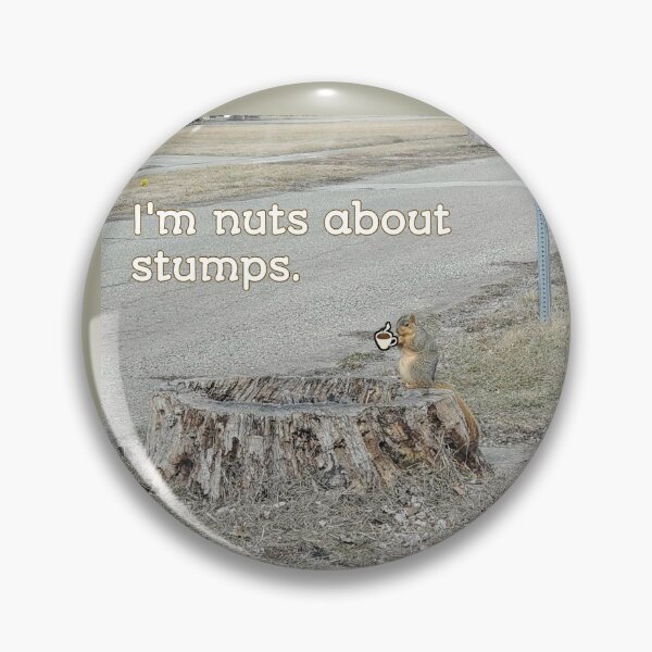 Item preview, Squirrel Pictures designed and sold by J+J Photography.