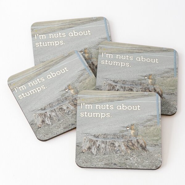 Item preview, Squirrel Pictures designed and sold by YHWH Photography.