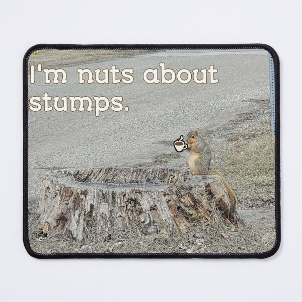 Item preview, Squirrel Pictures designed and sold by J+J Photography.