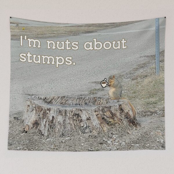 Item preview, Squirrel Pictures designed and sold by J+J Photography.
