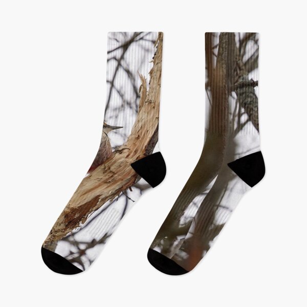 Item preview, Almost done. White-backed woodpecker designed and sold by Jouko Lehto Photography.