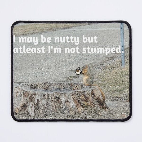 Item preview, Crazy Squirrel designed and sold by YHWH Photography.