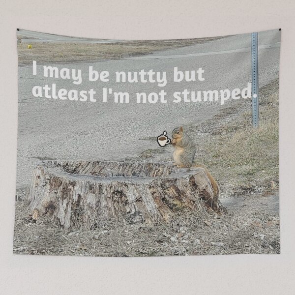 Item preview, Crazy Squirrel designed and sold by YHWH Photography.