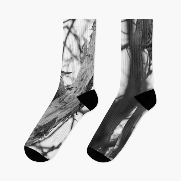 Item preview, Almost done. White-backed woodpecker bw designed and sold by Jouko Lehto Photography.