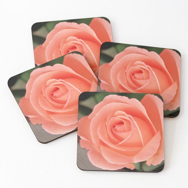 Item preview, Zenith of a rose designed and sold by RominaGiselle.