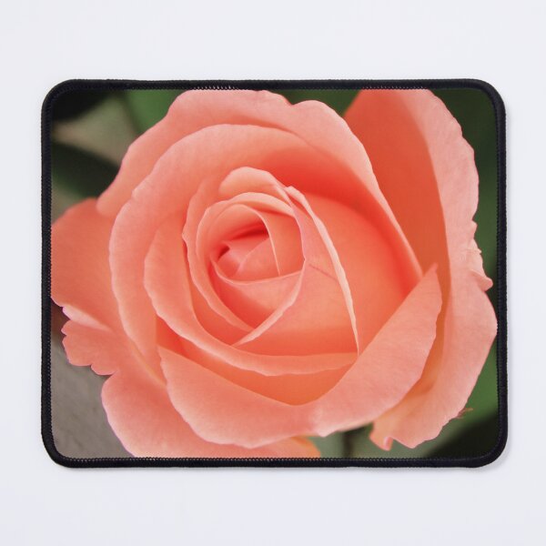 Item preview, Zenith of a rose designed and sold by RominaGiselle.