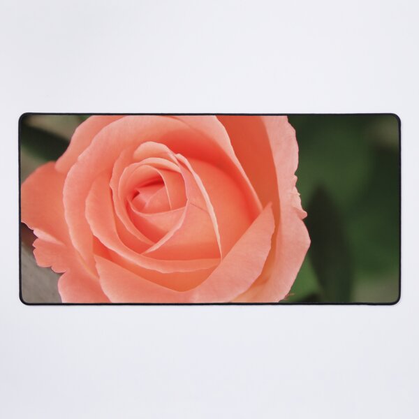 Item preview, Zenith of a rose designed and sold by RominaGiselle.