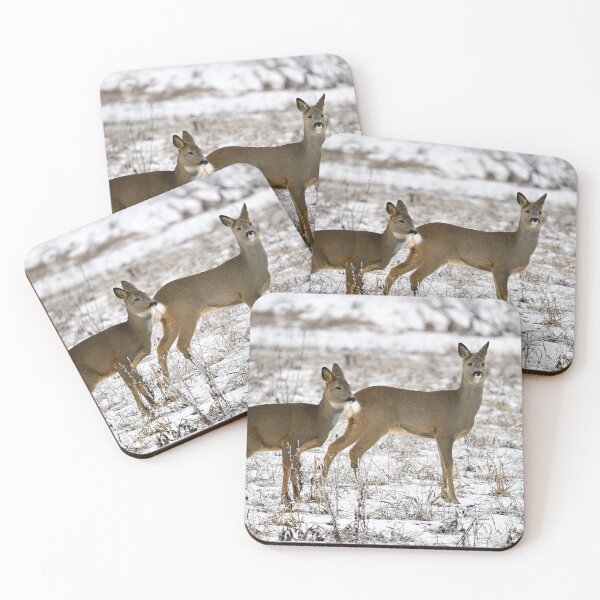 Item preview, Some tension rising. Roe deer designed and sold by Jouko Lehto Photography.