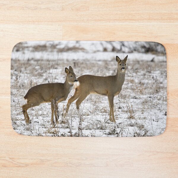 Item preview, Some tension rising. Roe deer designed and sold by Jouko Lehto Photography.