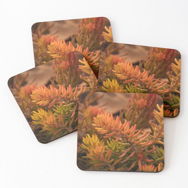 Item preview, Colors of Winter Sedum designed and sold by Debra Martz.