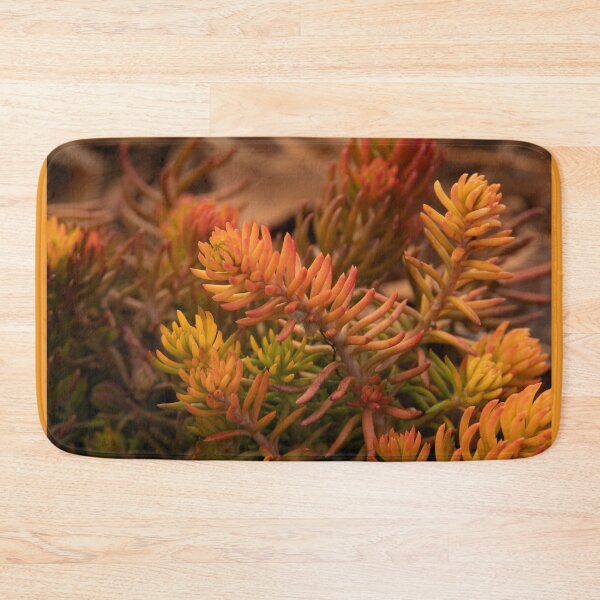 Item preview, Colors of Winter Sedum designed and sold by Debra Martz.