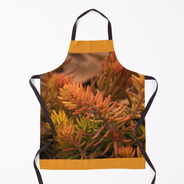 Item preview, Colors of Winter Sedum designed and sold by Debra Martz.
