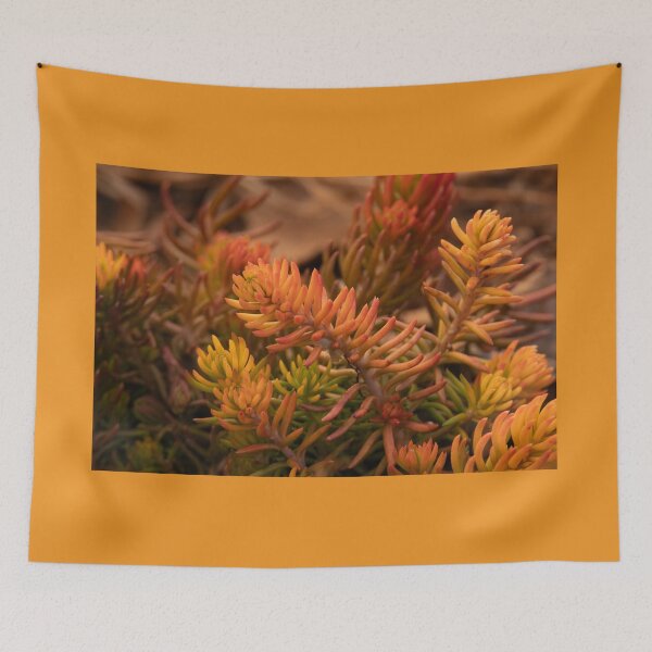 Item preview, Colors of Winter Sedum designed and sold by Debra Martz.