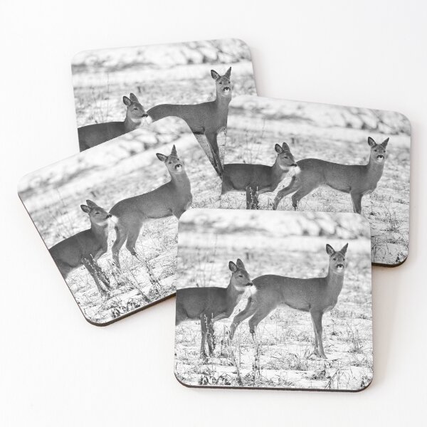Item preview, Some tension rising. Roe deer bw designed and sold by Jouko Lehto Photography.
