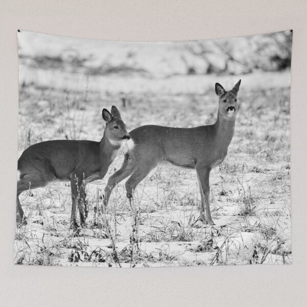 Item preview, Some tension rising. Roe deer bw designed and sold by Jouko Lehto Photography.