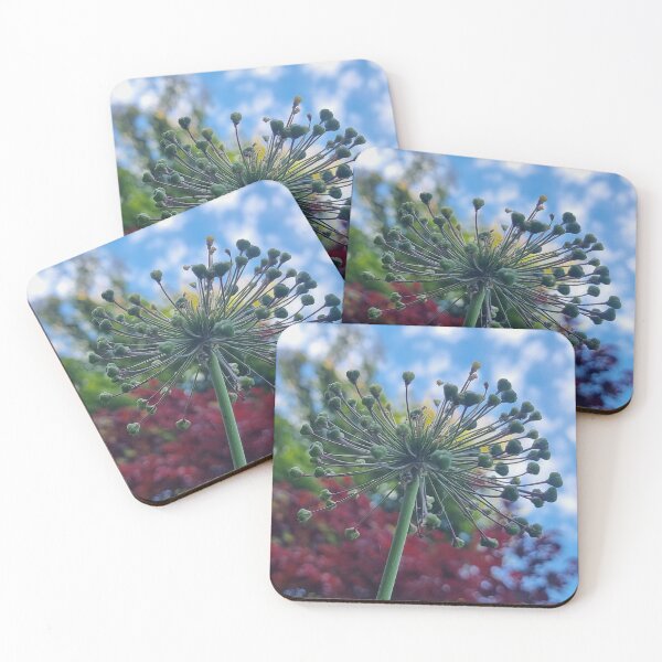 Item preview, An allium seed head. designed and sold by suespaintroom.