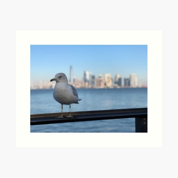 Artikel-Vorschau von Freundliche NYC-Möwe, designt und verkauft von cvferkix.