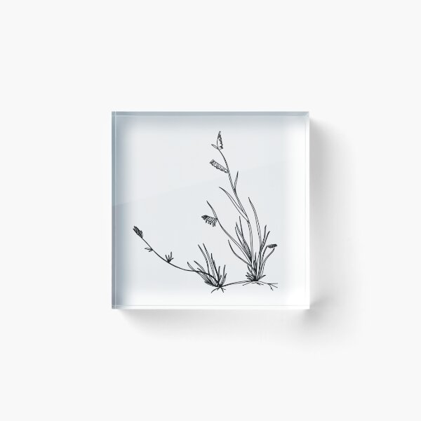 Item preview, Buffalo grass - Bouteloua dactyloides designed and sold by kvictoria1.