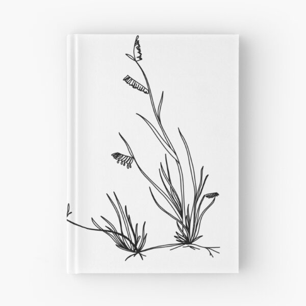 Item preview, Buffalo grass - Bouteloua dactyloides designed and sold by kvictoria1.