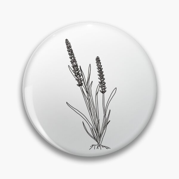 Item preview, Wooly Plantain - Plantago patagonica  designed and sold by kvictoria1.