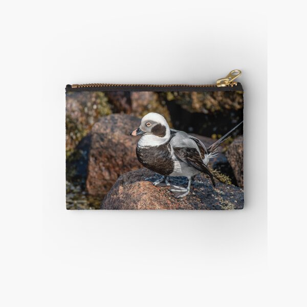 Item preview, The Long-Tailed Duck designed and sold by Tom McPherson Photography.