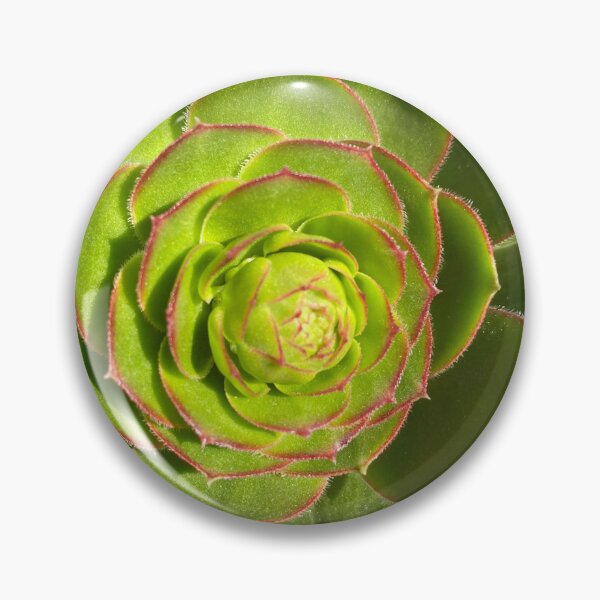 Item preview, Succulent Burst Prep designed and sold by SucculentLovers.