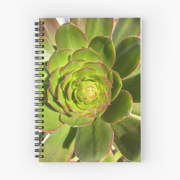 Item preview, Succulent Burst Prep designed and sold by SucculentLovers.