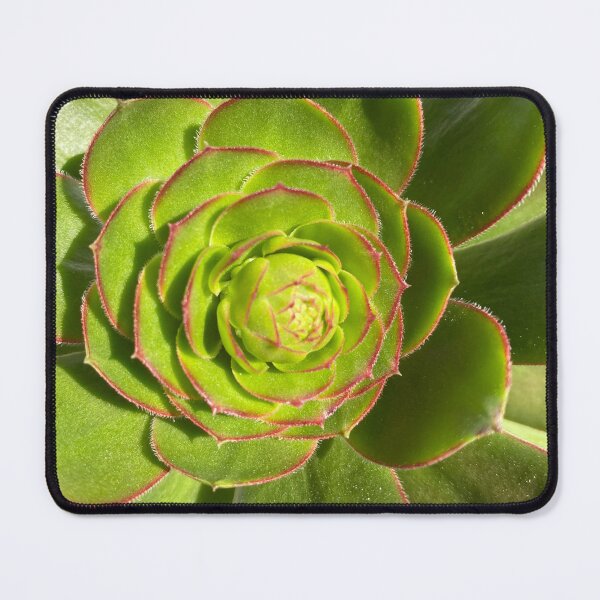 Item preview, Succulent Burst Prep designed and sold by SucculentLovers.