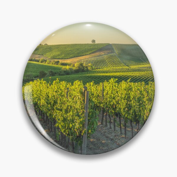 Item preview, Vineyards at sunset. Castellina in Chianti. Tuscany, Italy designed and sold by Stefano Orazzini.
