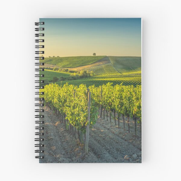 Item preview, Vineyards at sunset. Castellina in Chianti. Tuscany, Italy designed and sold by Stefano Orazzini.