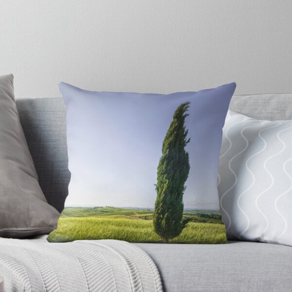 Item preview, Cypress tree along the route of the via Francigena. Tuscany, Italy designed and sold by Stefano Orazzini.