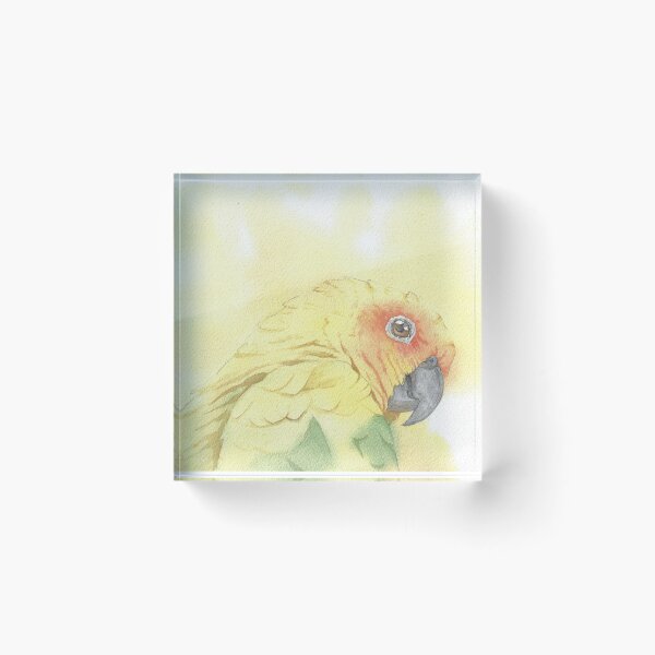 Item preview, Copy of Sun conure parakeet parrot watercolor portrait designed and sold by L'Atelier Oranjade.
