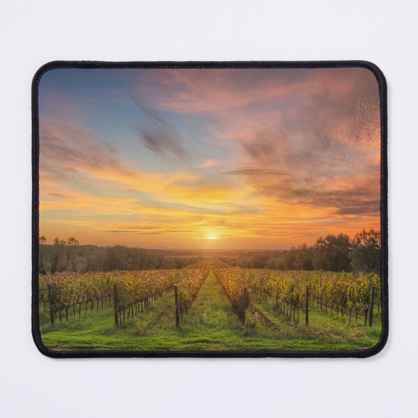 Item preview, Bolgheri vineyards at sunset, Italy designed and sold by Stefano Orazzini.