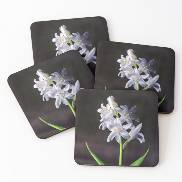 Item preview, Spanish Bluebells designed and sold by Tom McPherson Photography.