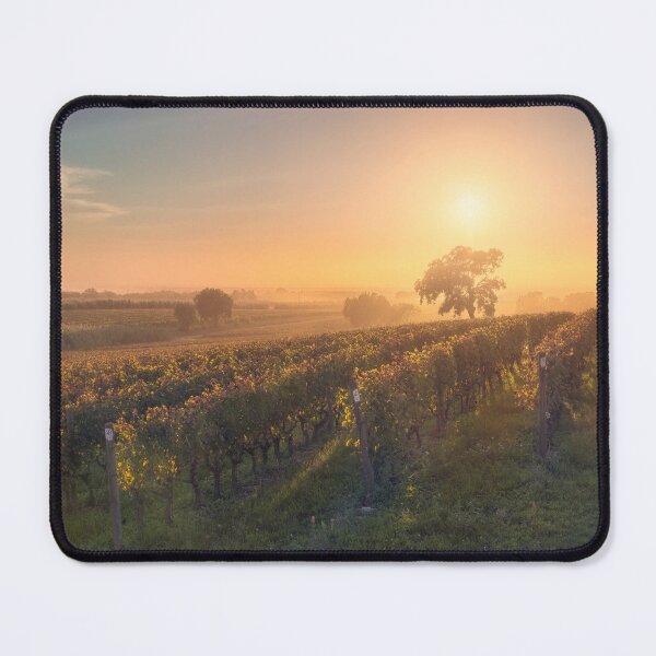 Item preview, Bolgheri vineyards in a foggy sunset designed and sold by Stefano Orazzini.