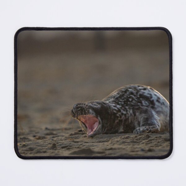 Item preview, Grey Seal designed and sold by ShutterSmithArt.