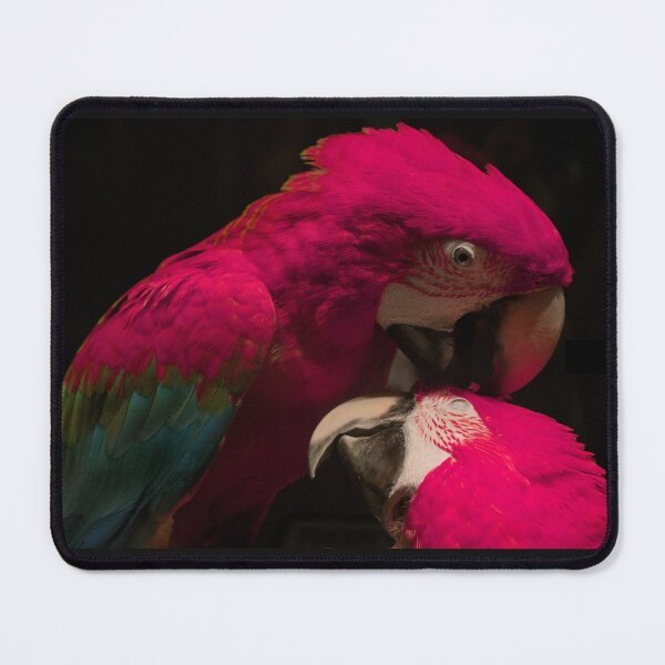 Item preview, Loving Parrots designed and sold by polsodipolpo.