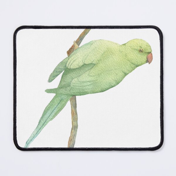 Item preview, rose-ringed parakeet watercolor parrot designed and sold by L'Atelier Oranjade.