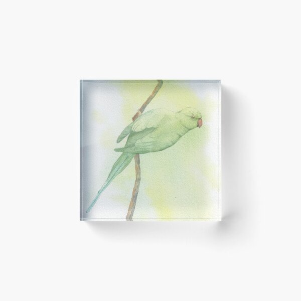 Item preview, Rose-ringed parakeet watercolor parrot v2 designed and sold by L'Atelier Oranjade.