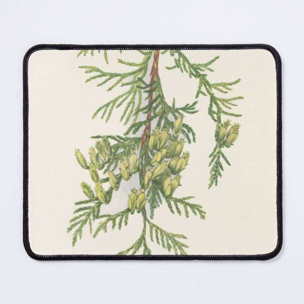 Item preview, Cedar Branch designed and sold by BlueSpecsStudio.