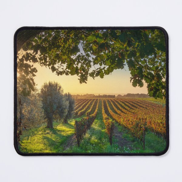 Item preview, Bolgheri vineyards, olive trees and a tree at sunset. Tuscany, Italy designed and sold by Stefano Orazzini.