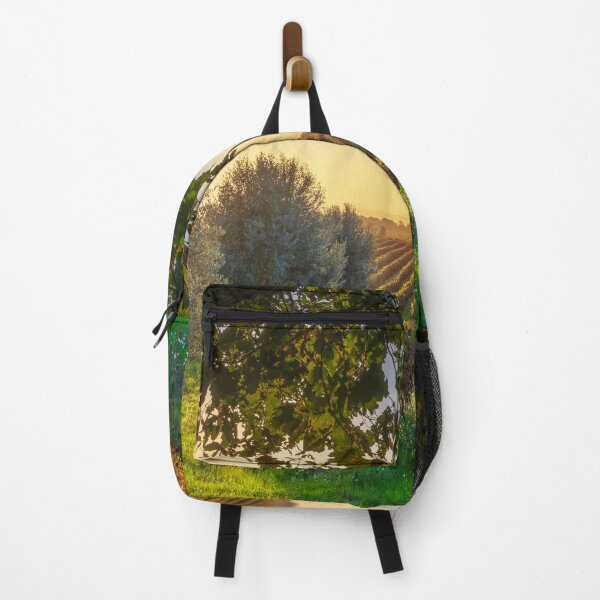 Item preview, Bolgheri vineyards, olive trees and a tree at sunset. Tuscany, Italy designed and sold by Stefano Orazzini.