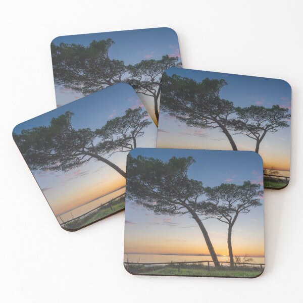 Item preview, Two pine trees on Follonica beach at sunset. Tuscany, Italy designed and sold by Stefano Orazzini.