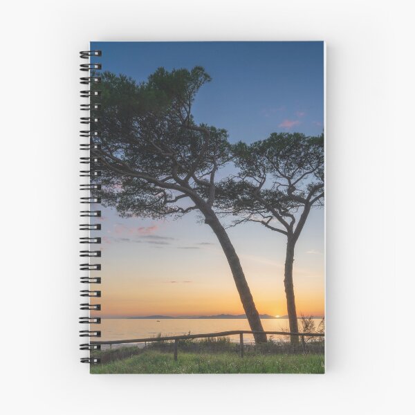 Item preview, Two pine trees on Follonica beach at sunset. Tuscany, Italy designed and sold by Stefano Orazzini.
