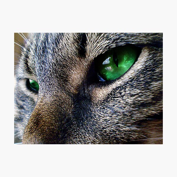Item preview, All Seeing Eyes designed and sold by Adara Rosalie.